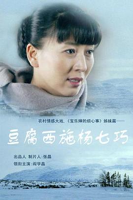 豆腐西施杨七巧第28集