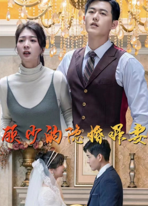 顾少的隐婚罪妻第30集