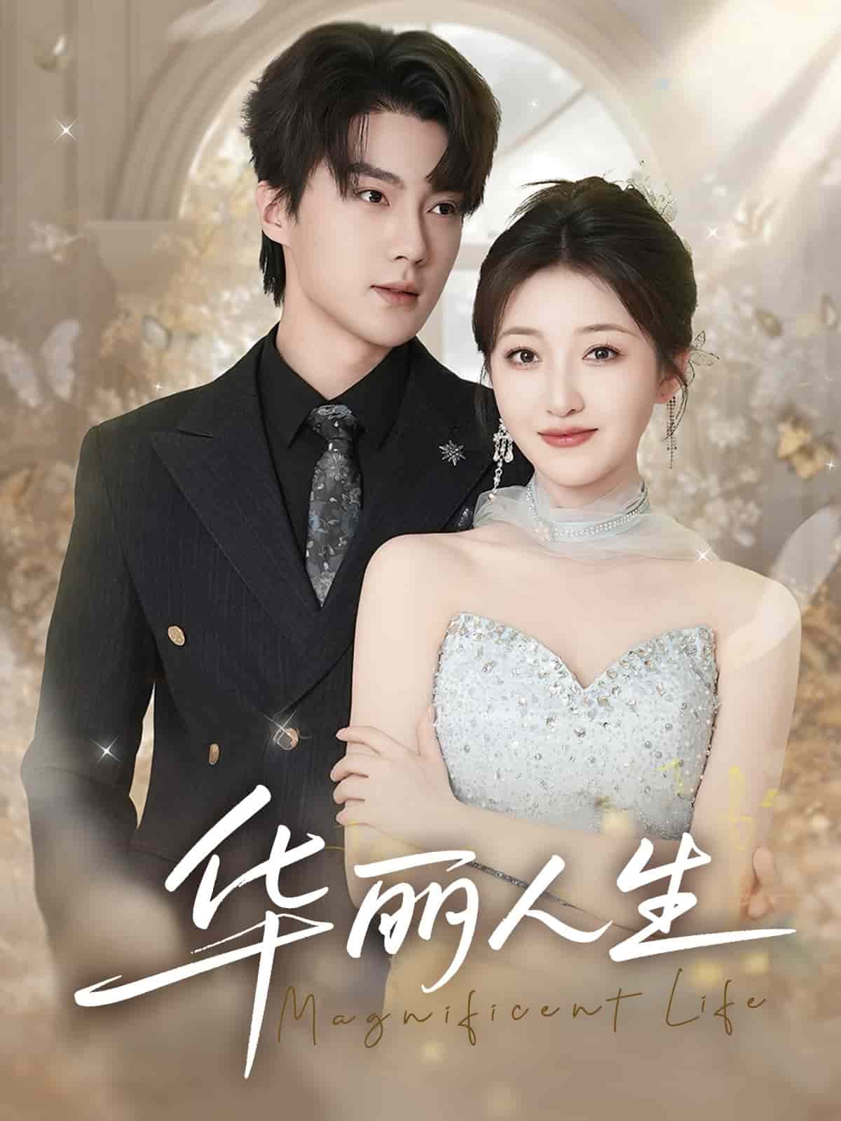 华丽人生(全集)