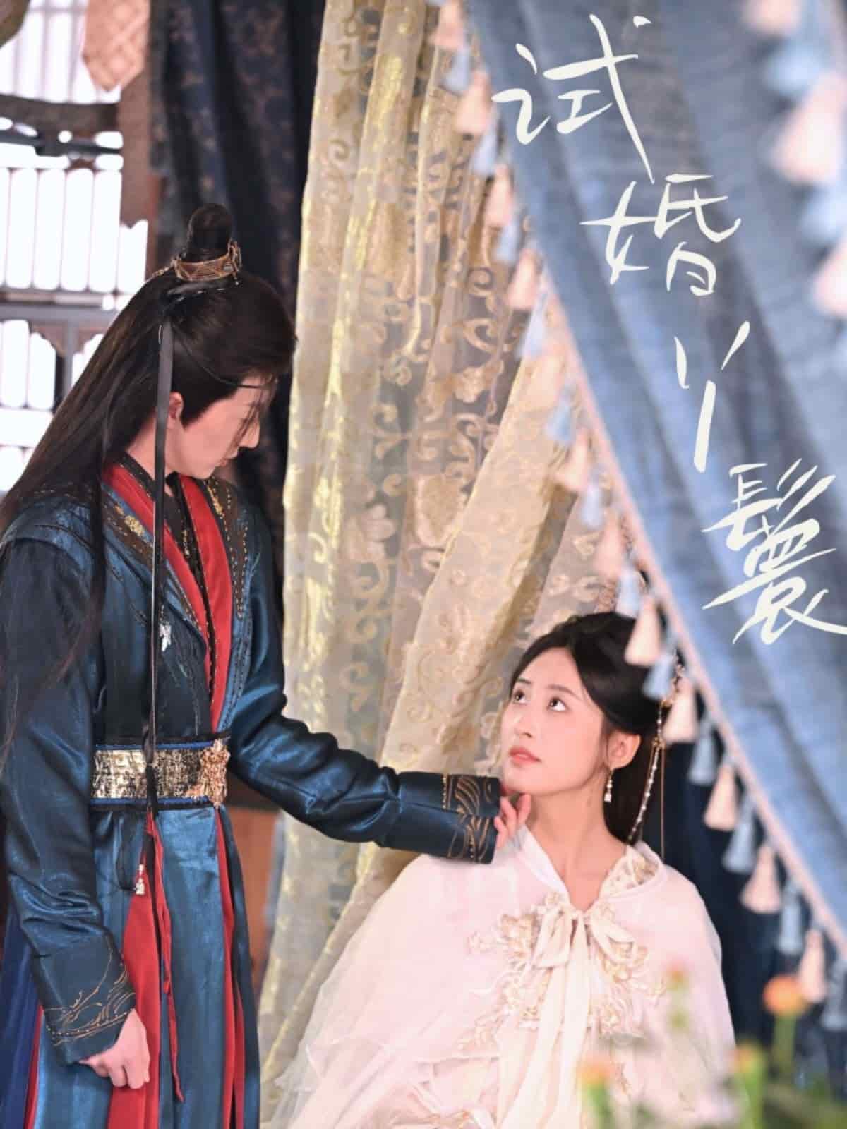 试婚丫鬟(全集)