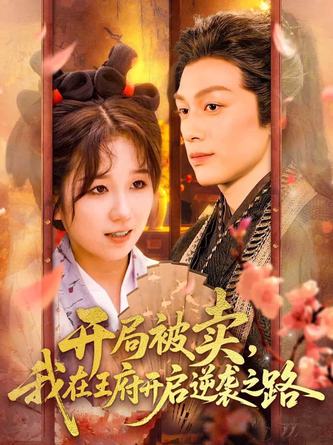 开局被卖我在王府开启逆袭之路(全集)