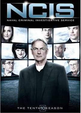 海军罪案调查处第十季第10集