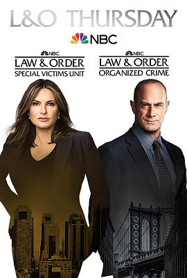 法律与秩序组织犯罪第二季第7集
