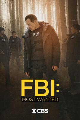 联邦调查局通缉要犯第二季第8集