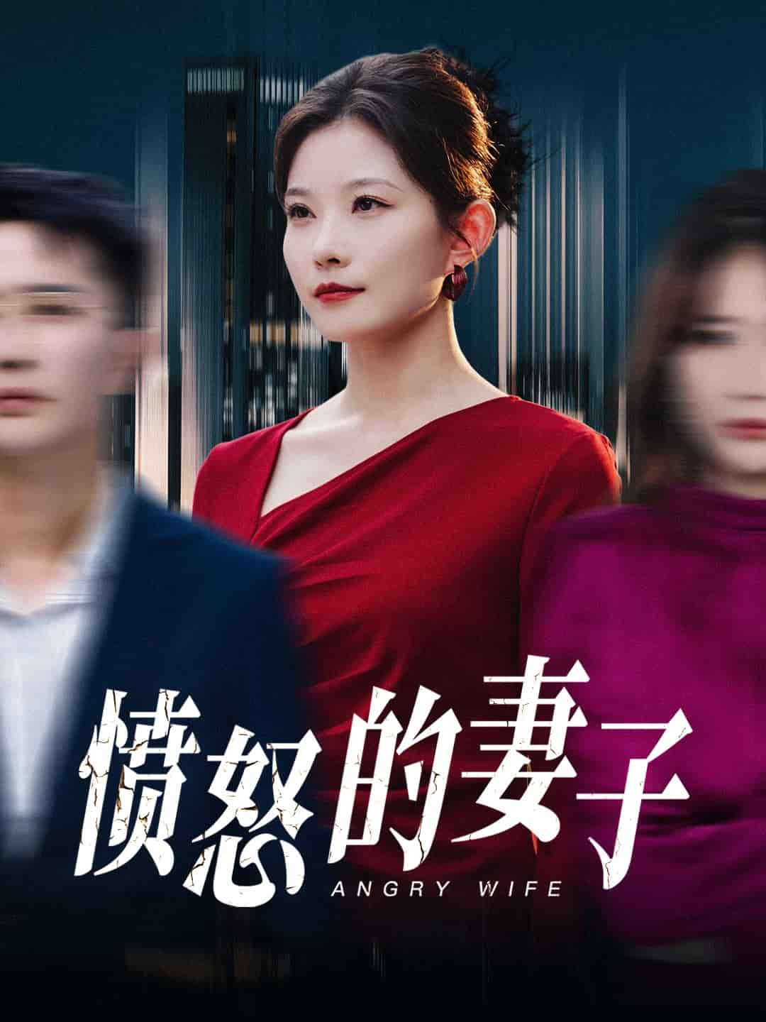 愤怒的妻子第1集