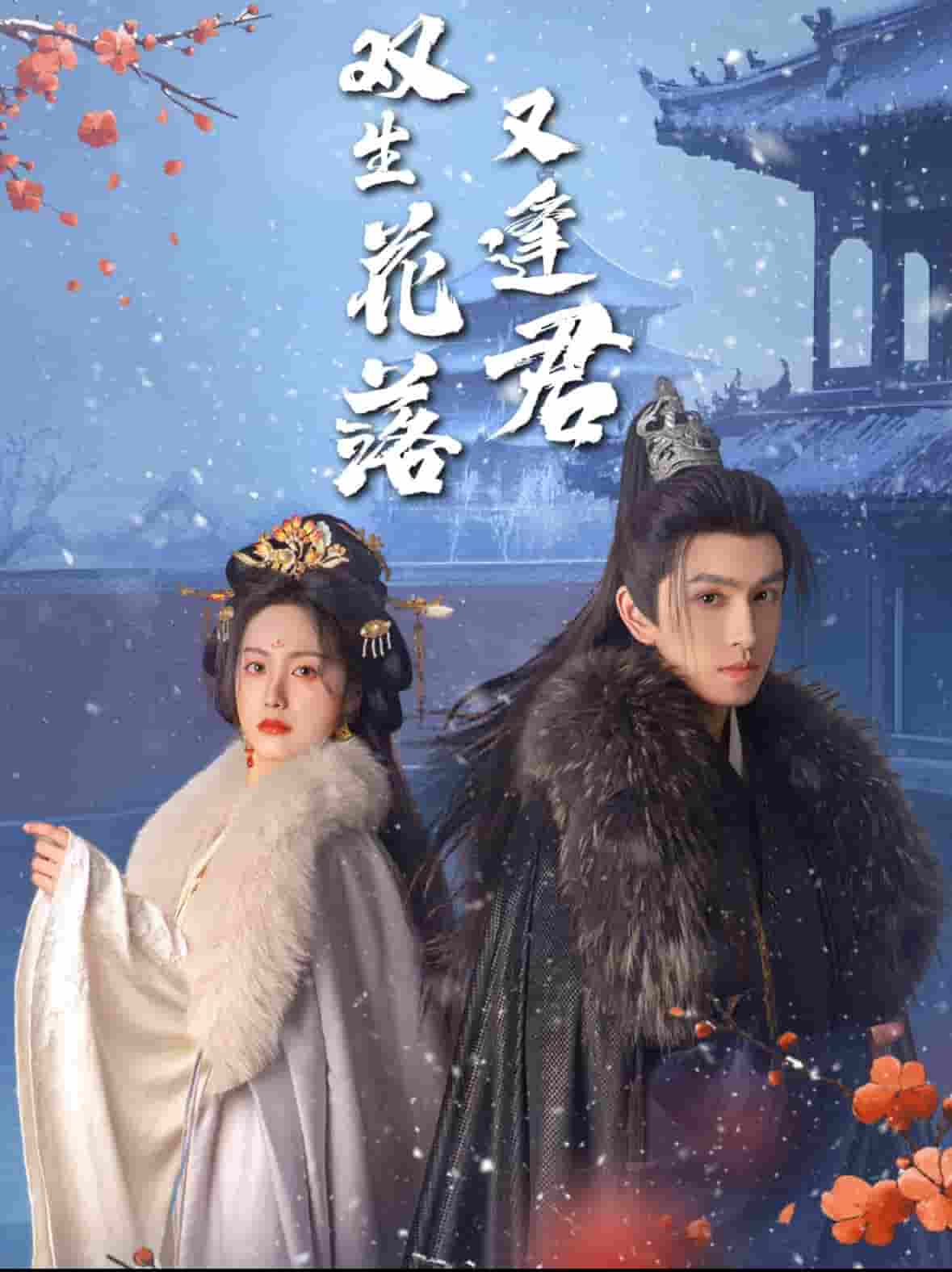 双生花落又逢君(全集)