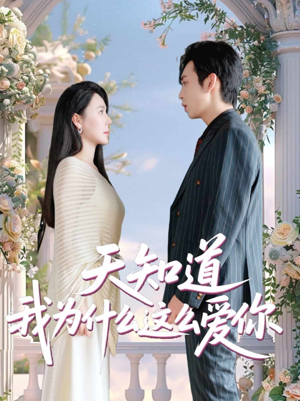 天知道我为什么这么爱你(全集)